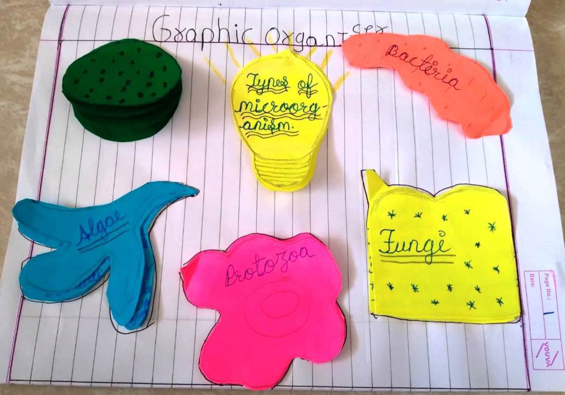 Interactive Notebooks